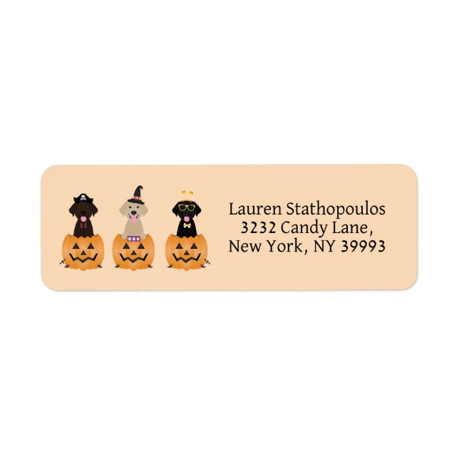 Happy halloween Labrador Retriever Hundar Pumpkin Returadress Etikett (Framsidan)