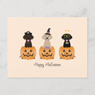 Happy halloween Labrador Retriever Hundar Pumpkin Vykort