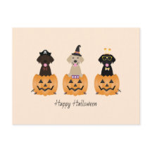 Happy halloween Labrador Retriever Hundar Pumpkin