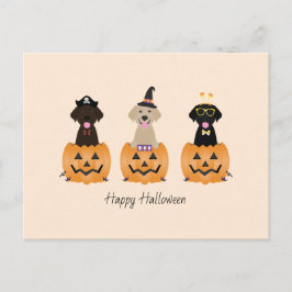 Happy halloween Labrador Retriever Hundar Pumpkin Vykort