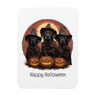 Happy halloween Labrador Retriever Hundar Witch Ha Magnet