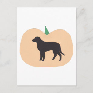 happy halloween Pumpkin Labrador Retriever Vykort