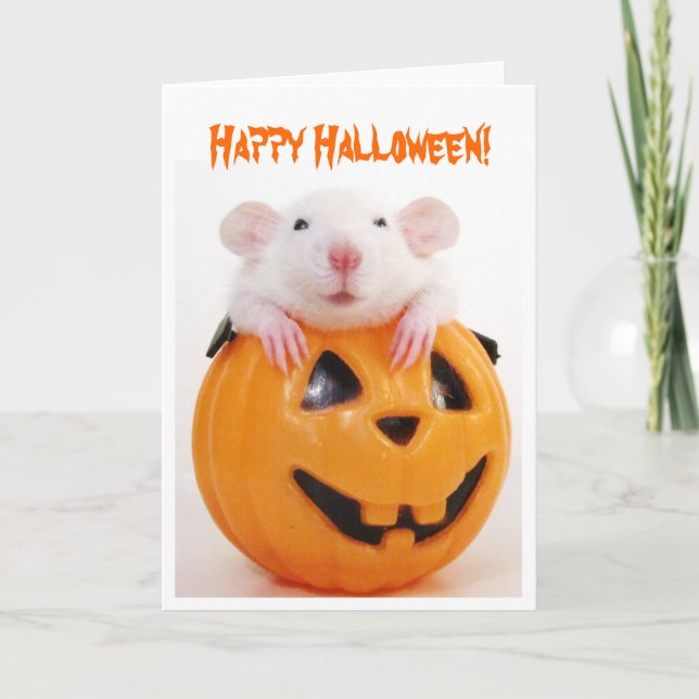 Happy halloween Pumpkin Råtta Kort (Framsida)