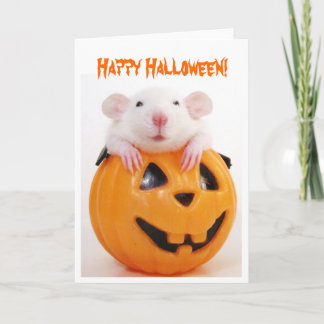 Happy halloween Pumpkin Råtta Kort