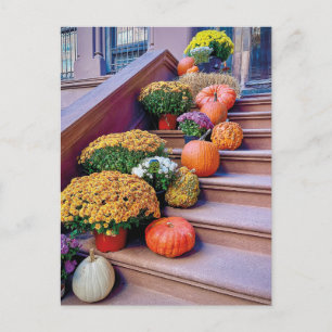 Happy halloween Pumpkin Trappor New York-vykort Vykort