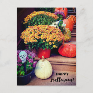 Happy halloween Pumpkin Trappor New York-vykort Vykort