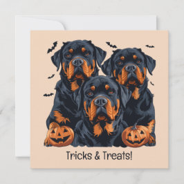 Happy halloween Rottweiler Hundar Jack o lantern Inbjudningar