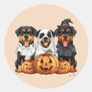 Happy halloween Rottweiler Hundar Jack o lantern Runt Klistermärke