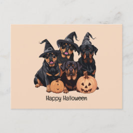 Happy halloween Rottweiler Hundar Jack o lantern Vykort