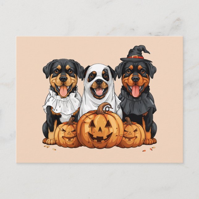 Happy halloween Rottweiler Hundar Jack o lantern Vykort (Framsida)