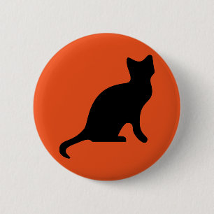 Happy halloween Scary Cat Knapp