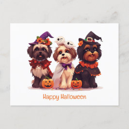 Happy halloween Shih Tzu Hundar Vykort