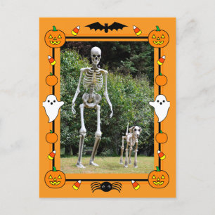 Happy halloween Skeleton Helg Vykort