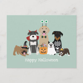 Happy halloween Spooky Pet Costumes Vykort