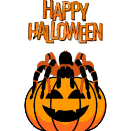 Happy halloween Tarantula på Pumpkin T Shirt