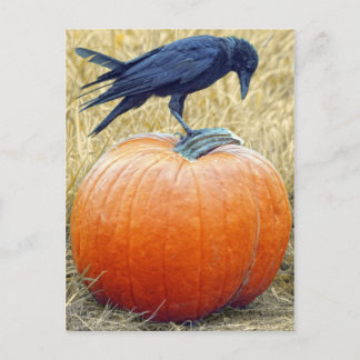 HAPPY HALLOWEEN VYKORT