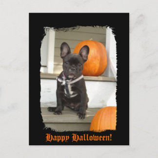 happy halloween! vykort