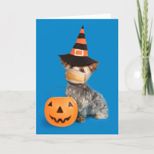 Happy halloween Yorkie i Coronavirus Ansikte-mask Helgkort