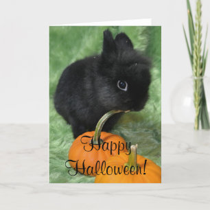 Happy halloweenkanin kort