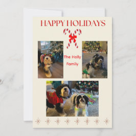 Happy Holidays Candy Cane and Twinkle Card Julkort