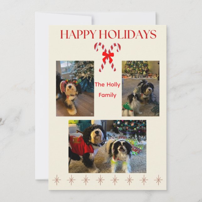 Happy Holidays Candy Cane and Twinkle Card Julkort (Framsida)