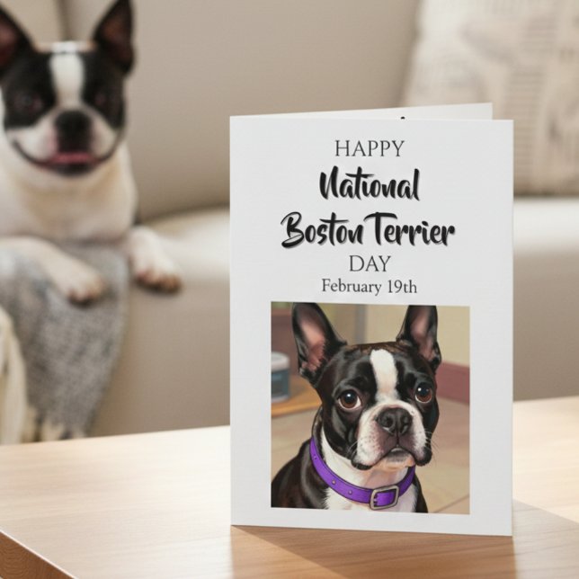 Happy National Boston Terrier Day | Feb 19th Kort (Skapare uppladdad)