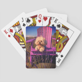 Happy Playful Shih Tzu Puppy, Dog Relaxing Casinokort