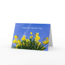 Happy St David’s Day Daffodils Welsh Greeting