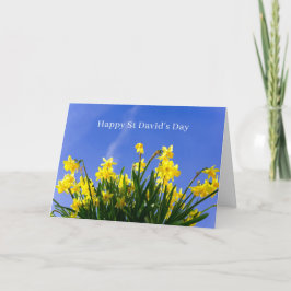 Happy St David’s Day Daffodils Welsh Greeting Kort