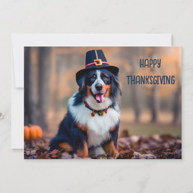 Happy thanksgiving Bernese Mountain Hund Pilgrim Julkort (Framsida)
