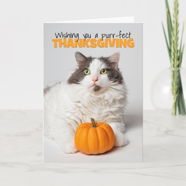 Happy thanksgiving Cute Kattunge med Pumpkin Helgkort (Framsida)