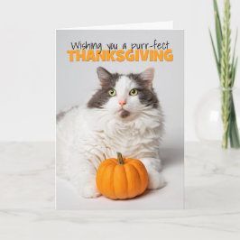 Happy thanksgiving Cute Kattunge med Pumpkin Helgkort