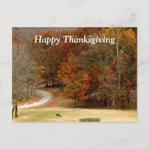 Happy thanksgiving-fotohösten Träd Hjort Helg Vykort