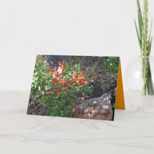 happy thanksgiving! från Janz Helgkort