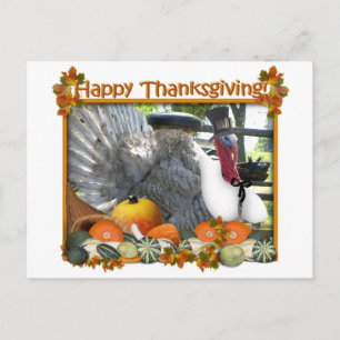 Happy thanksgiving från Tom och Pilgrim Turkiet Helg Vykort