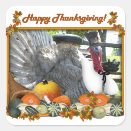 Happy thanksgiving från Tom, Pilgrim Turkey Fyrkantigt Klistermärke