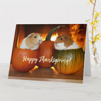 Happy thanksgiving Guinea Grisar Kort