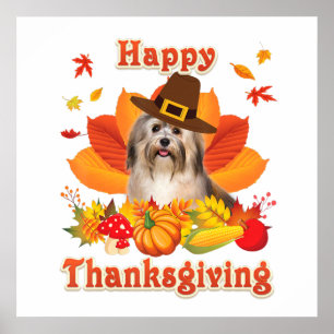 happy thanksgiving Havanese Hund Im tacksamt Poster
