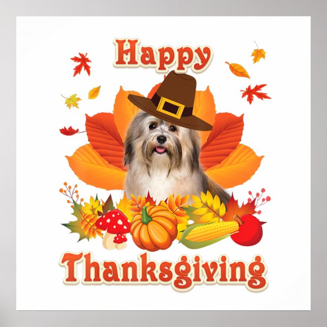Happy thanksgiving Havanese Hund Im tacksamt Poster (Framsidan)