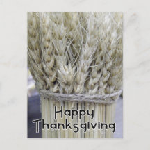 Happy thanksgiving