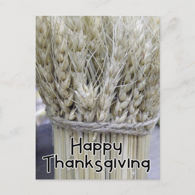 Happy thanksgiving helg vykort (Framsida)