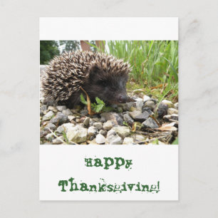 Happy thanksgiving! helg vykort