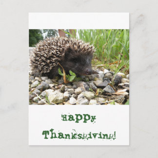Happy thanksgiving! helg vykort