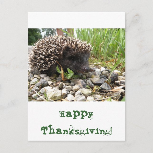 Happy thanksgiving! helg vykort (Framsida)