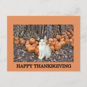 Happy thanksgiving helg vykort