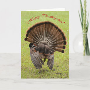 Happy thanksgiving helgkort