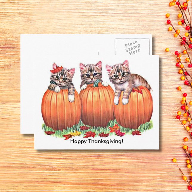 happy thanksgiving Kittens på Pumpkins Autumn, ZSG Helg Vykort (Happy Thanksgiving Kittens on Pumpkins Autumn Holiday Postcard)