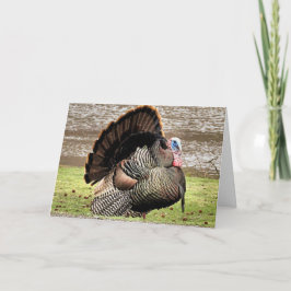 Happy thanksgiving kort