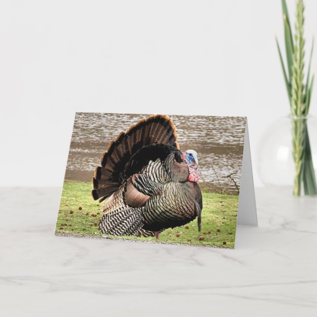 Happy thanksgiving kort (Framsida)