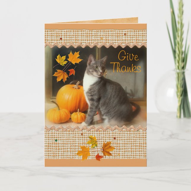 Happy thanksgiving-kort med katt- och påfyllnadsko helgkort (Framsida)